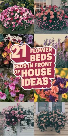 Kid-friendly flower beds in front of a house with safe and colorful plants. Food Plot, Attracting Bees, In Front Of House, Most Beautiful Flowers