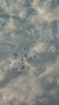 a flock of birds flying through the cloudy sky