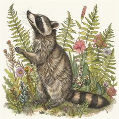 Racoon Pictures: Craft Unique Stories with Wildlife Racoon Pictures, Racoon Art, Racoon Illustration, Raccoon Painting, Animal Study, Peace Art, Crafts With Pictures, Fairytale Art, Racoon