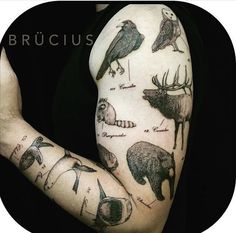 an arm with different animals and birds on it