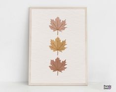 three maple leaves are shown on a white background