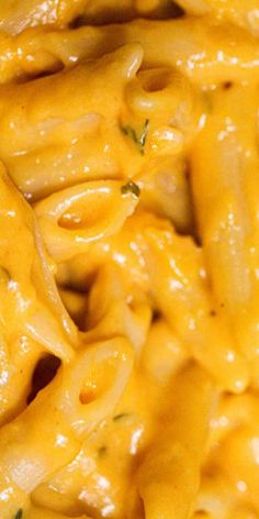 The Best Pumpkin Pasta Pumpkin Pasta Recipe, Recipe For Fall, Pumpkin Mac And Cheese, Seasoned Veggies, Pumpkin Pasta, Homemade Pumpkin Puree, Yummy Pasta Recipes, La Food