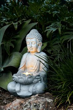 a buddha statue sitting on top of a rock in front of some grass and plants