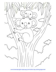 a koala bear sitting on top of a tree with its baby in it's arms