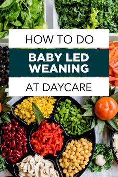 baby led weaning at daycare with lots of vegetables