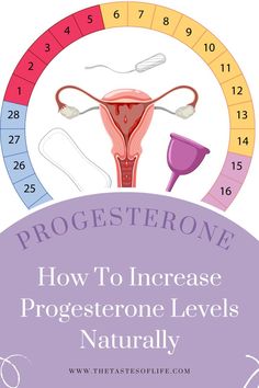 How To Increase Progesterone Levels Naturally Hormonal Balance Diet, Increase Progesterone Naturally, Hormone Balancing Essential Oils, Hormone Balancing Tea, Hormone Balancing Smoothie, Increase Progesterone, Balance Diet