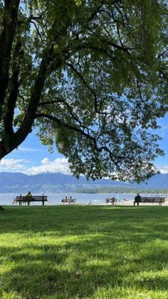 people are sitting on benches in the grass by the water and trees with mountains in the background