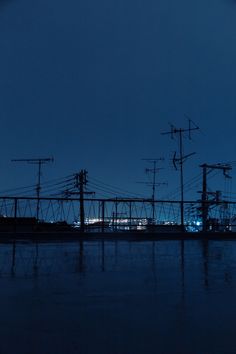 power lines and poles in the distance at night