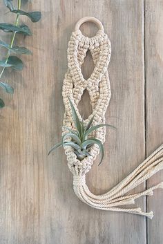 an air plant hanging from a rope on top of a wooden table