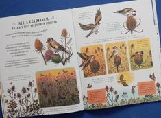 an open book with pictures of birds and flowers