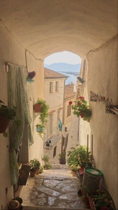 an alley way with potted plants on either side