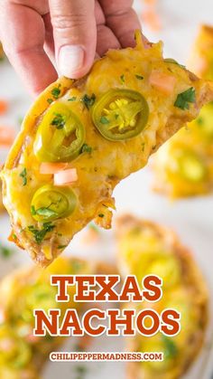 Tgi Fridays Tostado Nachos Recipe, Deep Fried Nachos, Nachos With Jalapenos, Street Corn Nachos Recipe, Chili's Nachos Copycat, Things To Do With Corn Tortillas, Nacho Appetizers For Party, Recipes That Use Tortillas, Oyster Nachos