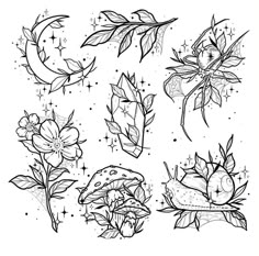 some flowers and leaves are drawn in black ink on white paper, with stars above them