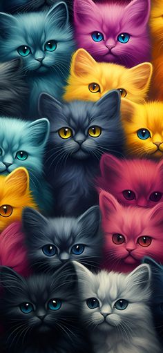 many different colored cats with blue eyes