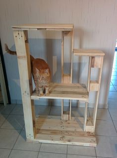 an orange cat standing on top of a wooden shelf next to a white tiled floor