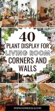 Best Indoor Plants For Beginners, Living Room Corners, Indoor Plants Decor Living Room, Plant Decor Living Room, Indoor Plants Decor, Indoor Plant Display, Plant Display Ideas, Indoor Plants Styling, Corner Plant