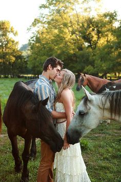 a man and woman kissing in front of horses