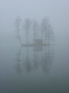 a small boat floating on top of a lake surrounded by trees in the middle of fog