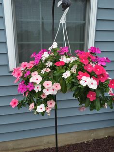 pink and white petunias hanging from a black pole in front of a blue house