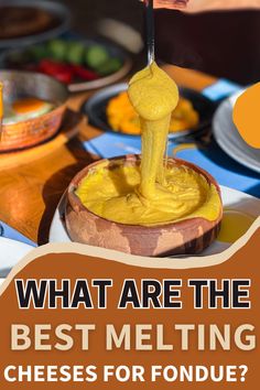 the cover of what are the best melting cheeses for fondue?, with an image of a spoon dipping sauce into it