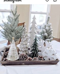 christmas trees and pine cones in a tray on a table