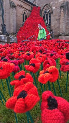 a woman standing in front of a field of red flowers