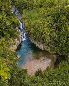 a river running through a lush green forest filled with lots of trees and water flowing down the side of it