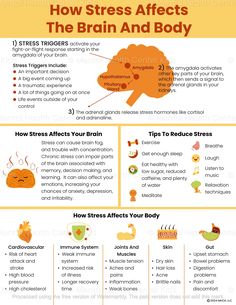 How Stress Affects The Brain And Body Handout for Kids and Teens Self Help Skills, Mental Health Center, Brain Facts, Mental Health Facts, Body Therapy, Brain Exercise, Teaching Children