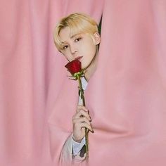 a person holding a rose in front of a pink curtain with the image of a man's face on it