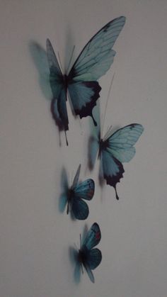 three blue butterflies flying in the air on a white wall with black writing below them