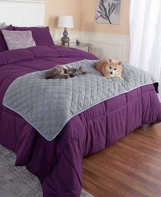 two dogs laying on a bed with purple comforter and matching pillowcases in a bedroom