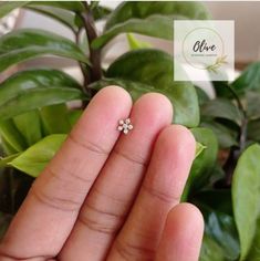 Nosepin Design, Nose Pin Designs, Diamond Nosepin, Gold Earrings Studs Simple, Baby Ear Piercing, Nose Pin Indian, Minimalist Accessories Jewellery, Small Nose Studs, Nose Ring Designs