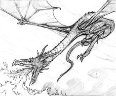 a drawing of a dragon flying through the air