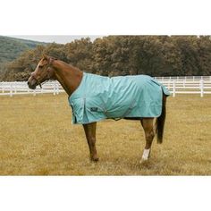 a brown horse wearing a blue cover in a field