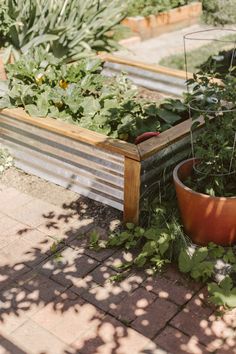 a wooden bench sitting next to a garden filled with plants