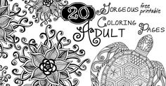 an adult coloring page featuring a turtle and flowers