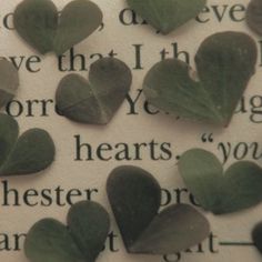 some green leaves are on top of an open book with the word love written in it