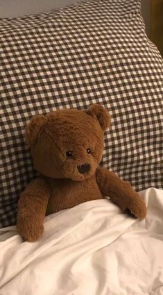 a brown teddy bear sitting on top of a bed