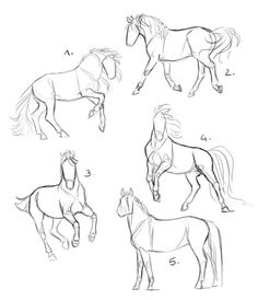 four horses are shown in different positions and the numbers on each horse's body