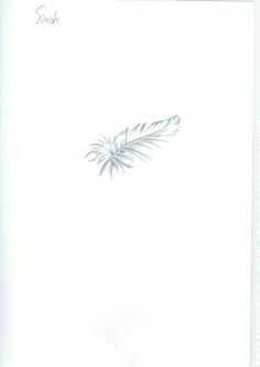 a pencil drawing of a palm tree on a white paper with the word south written below it