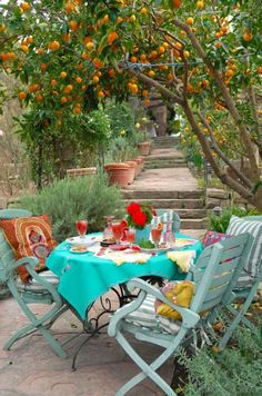 an orange tree with lots of oranges growing on it and some chairs around the table