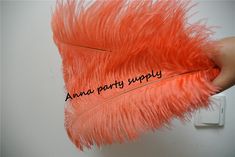 an orange feather is being held up by someone's hand with the words anne party supply written on it