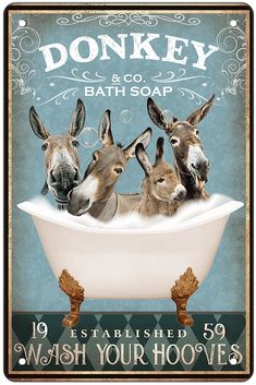 three donkeys in a bathtub with the words donkey and co soap