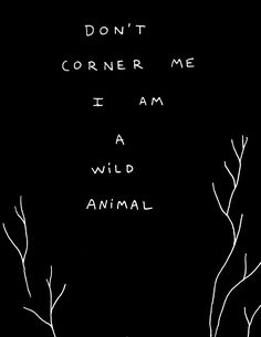 the words don't corner me i am a wild animal are drawn in white ink on a black background