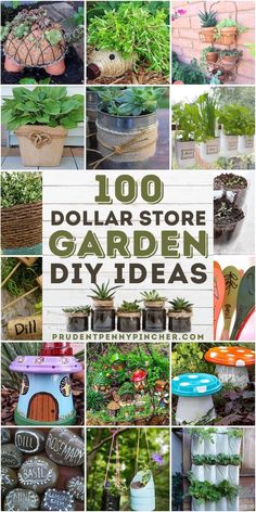 many different pictures with plants in them and the words diy ideas