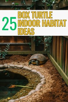 Explore 25 box turtle habitat projects that are perfect for indoor tanks and outdoor spaces. Click for full guides and save this pin for later! Indoor Box Turtle Habitat, Eastern Box Turtle Habitat Indoor, Box Turtle Habitat Indoor Diy, Tortious Habitat Indoor, Turtle Enclosure Indoor, Turtle House Indoor, Turtle Habitat Ideas Indoor, Tortoise Tank Ideas