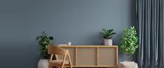 two wooden chairs sitting next to each other in front of a blue wall with potted plants