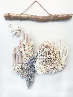 a piece of driftwood is hanging on the wall next to corals and seaweed