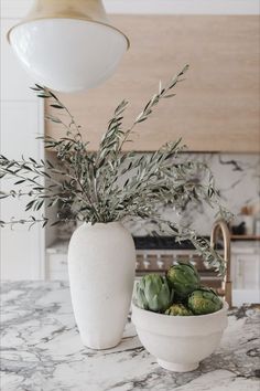 two white vases with plants in them on a marble counter top next to a light fixture