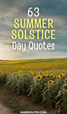 the sunflower field with text that reads 63 summer solstice day quotes